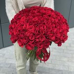 101 красная роза