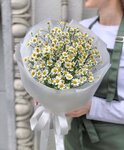 Букет из 15 кустовых ромашек