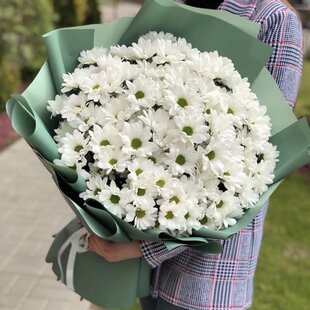 Букет из 15 Белых Хризантем