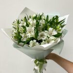 15 белых альстромерий