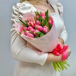 25 Пионовидных тюльпанов