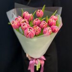 15 Пионовидных тюльпанов